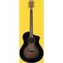 Acoustic Guitars