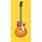 Electric Guitars